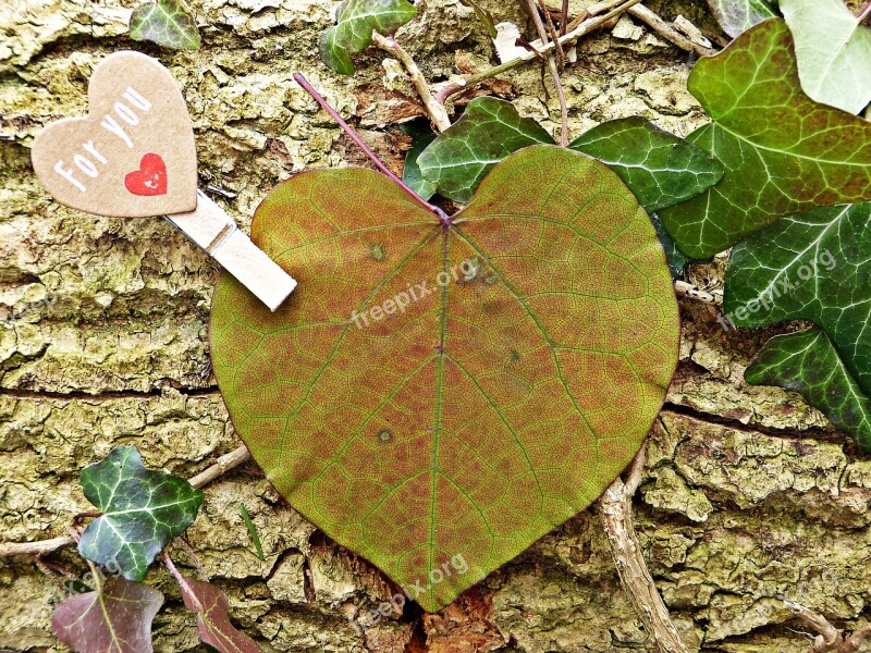 For You Heart Leaf Love Give