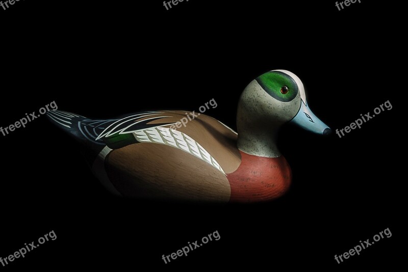 Duck Decoy Nature Wildlife Animal