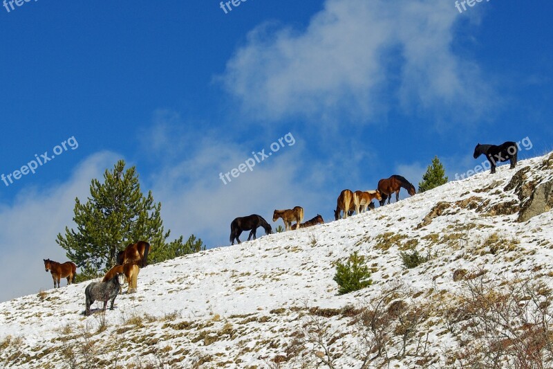 Campotosto L'aquila Abruzzo Italy The Abruzzo National Park