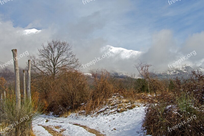 Gran Sasso Tree Branches Snow Assergi