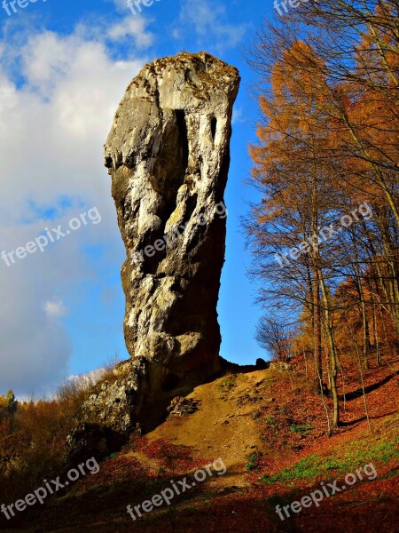 Autumn Rock Limestone Pieskowa Skała Castle Nature