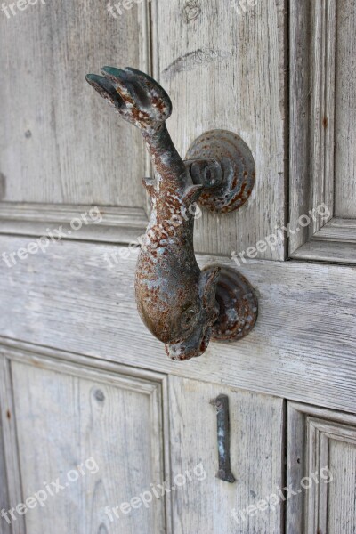 Door Handle Entrance Dolphin Fish