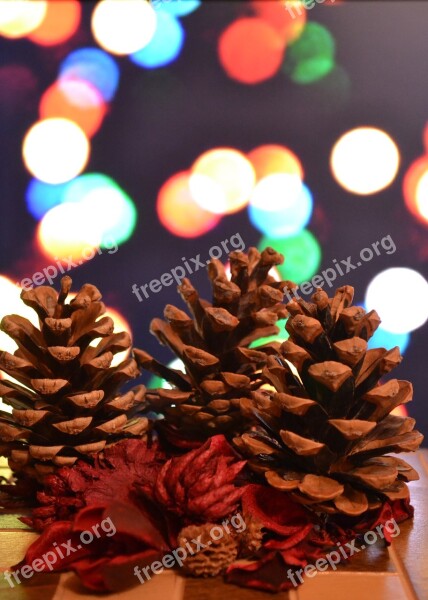 Christmas Lights Ornaments Pine Pine Cones