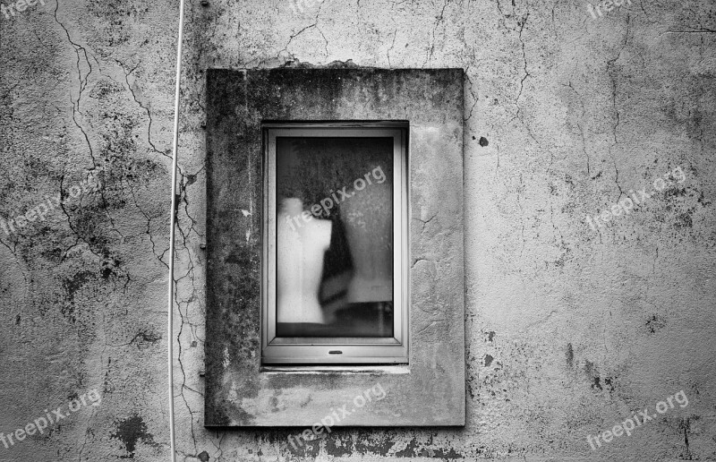 Window Mannequins Glass Black And White Free Photos