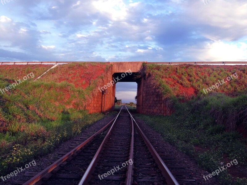 Train Line Sky Tunnel Aparecida Do Taboado Road