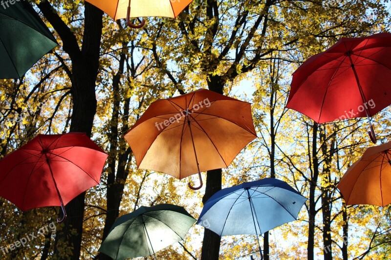 Umbrellas Sun Trees Color Free Photos