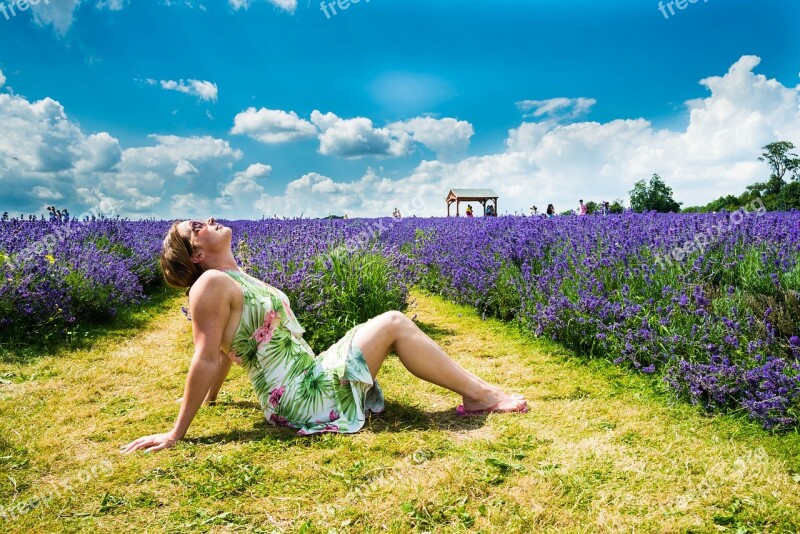 Lavender Fields Portrait Lavender Outdoors Female