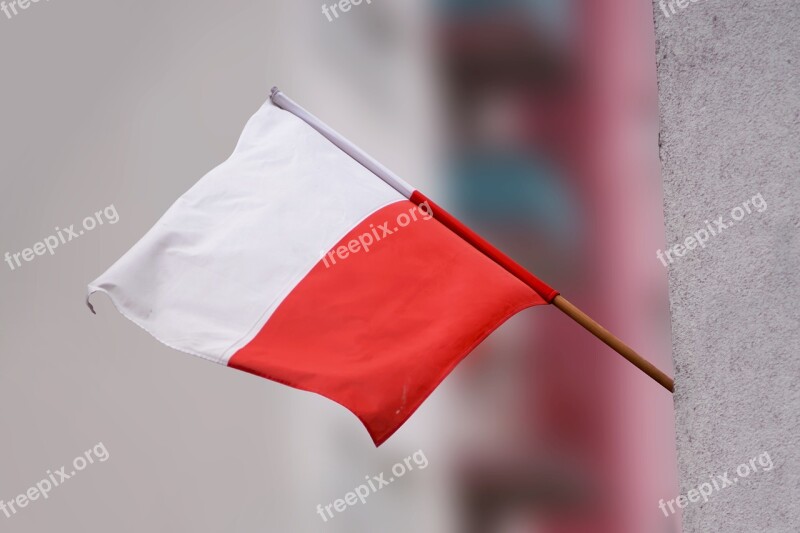 Polish Flag Independence Independence Day Nationality Flag