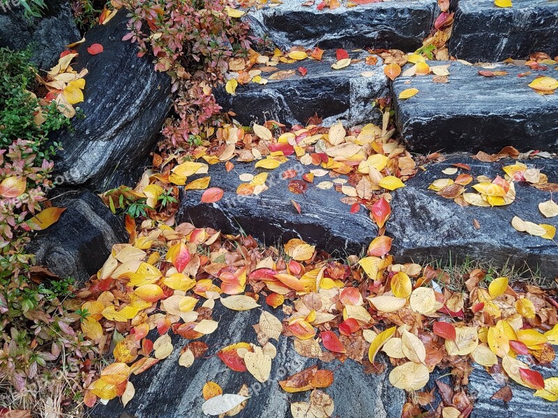 Stone Steps Leaves Autumn Leaves Autumn The Leaves