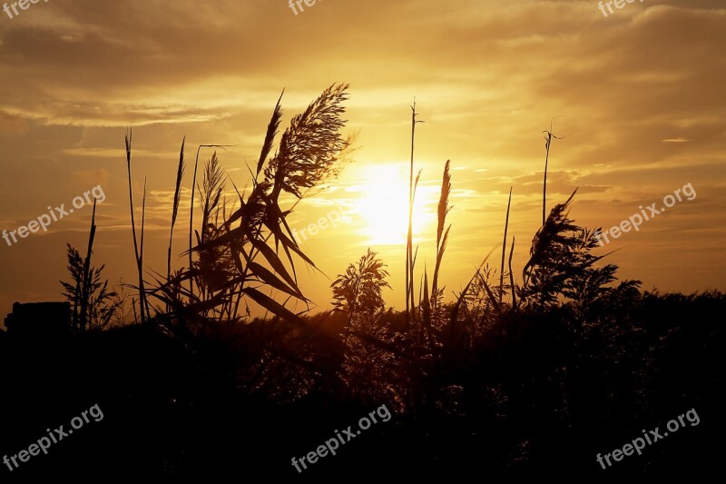 Sun Color Contrast Landscape Nature