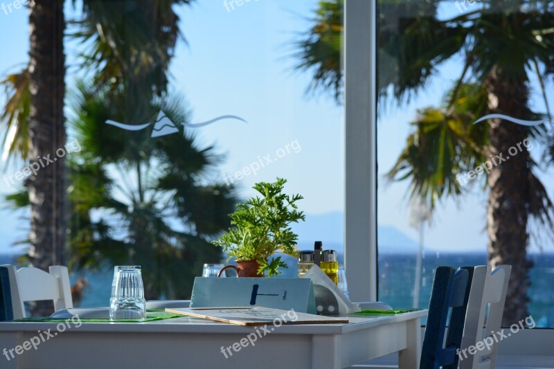 Restaurant Sea Vacations Palm Trees Table