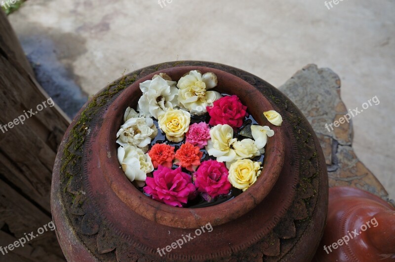 Pai Small Fresh Flowers Wok Clay