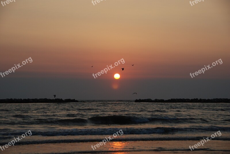 Dawn Sea Waves Horizon Summer