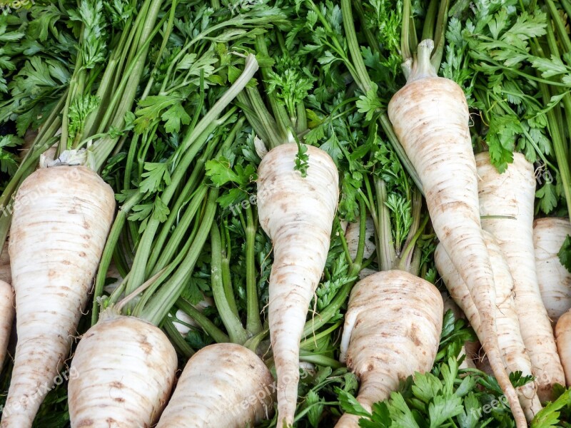 Vegetables Turnip Market Food Plant