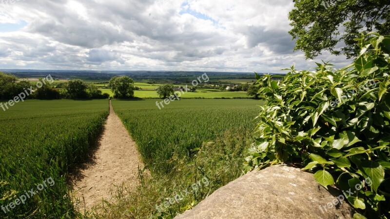 Path Crops Green Nature Outdoor