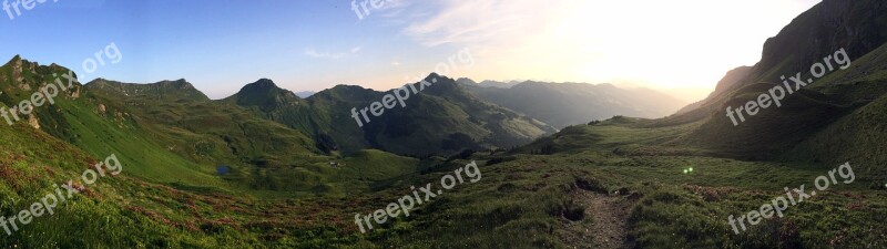 Summer Mountains Alm Meadow Saalbach