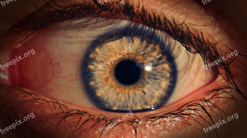 Eye Fear Iris Pupil See Red