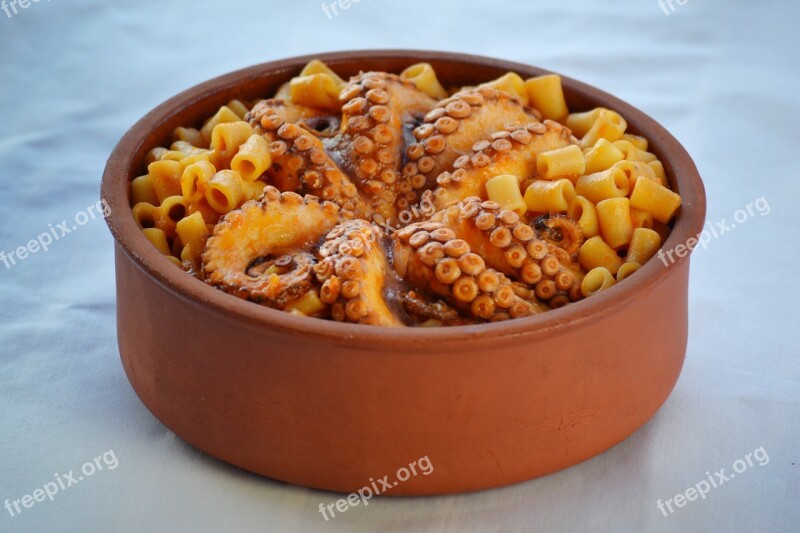 Sea Food Octopus Greek Food Dish Meal