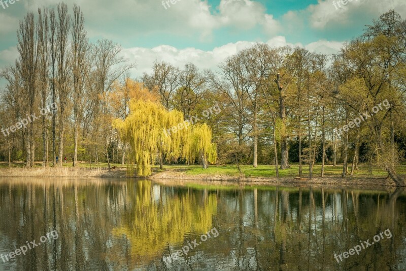 Lake Pond Trees Nature Sky Clouds