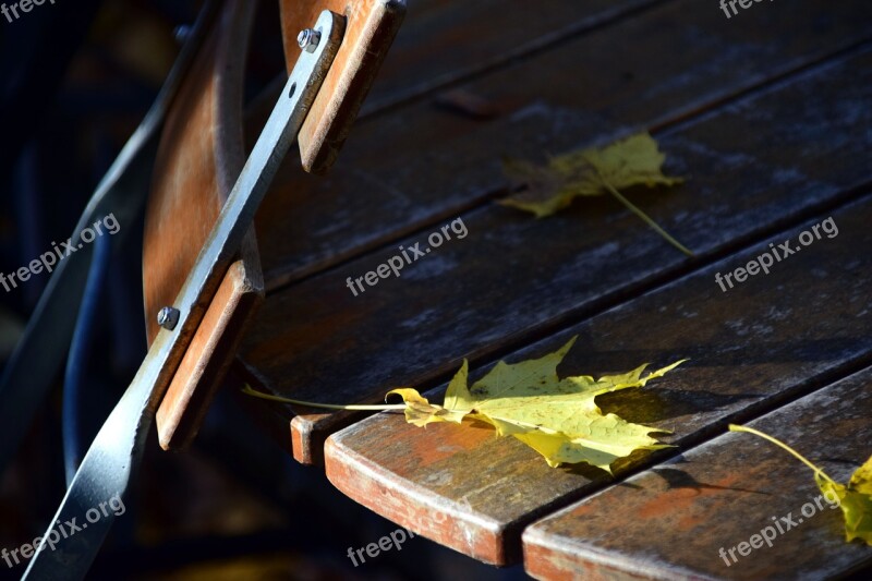 Beer Garden Autumn Leaves Saisonende End Season