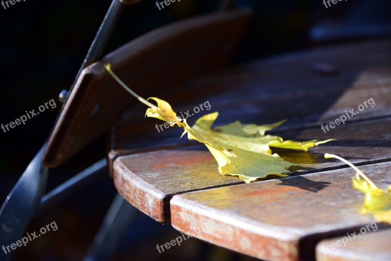 Beer Garden Autumn Leaves Saisonende End Season