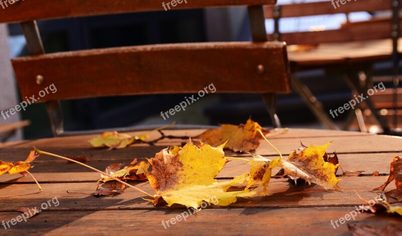 Beer Garden Autumn Leaves Saisonende End Season