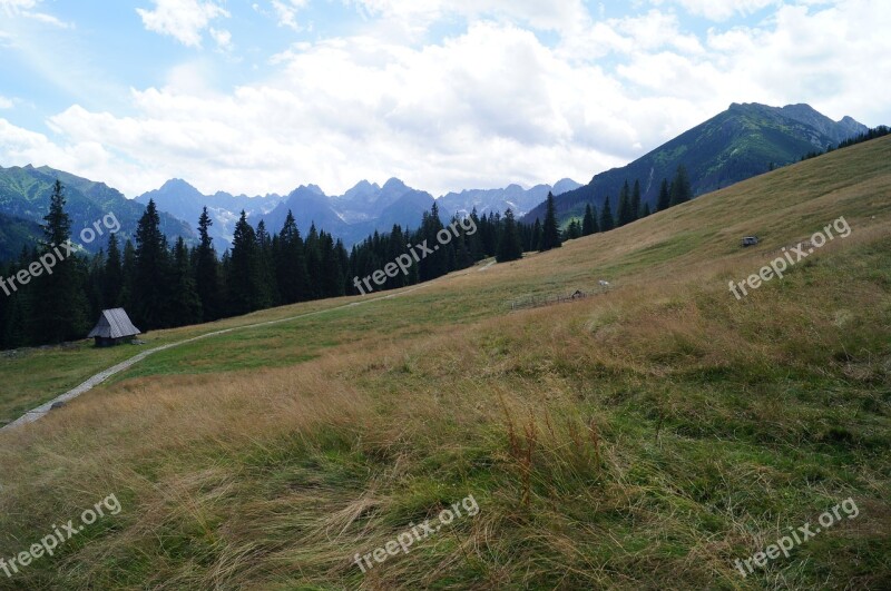 Tatry Nature Mountains Rusinowa Logs Free Photos