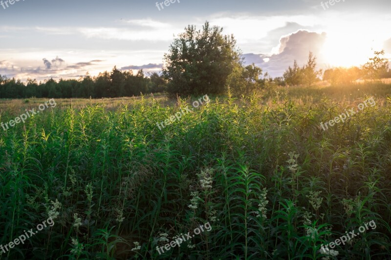 Sunset Bed Crops Free Photos