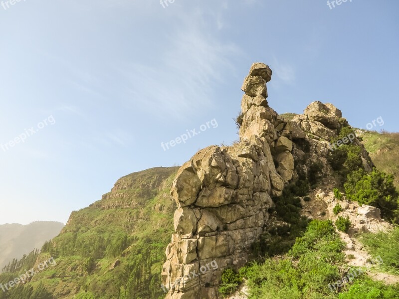 La Reptiles Hiking Spain Canary Islands Free Photos