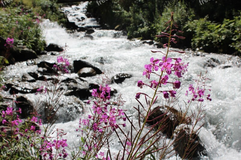 Waterfall Tyrol ötztal Free Photos