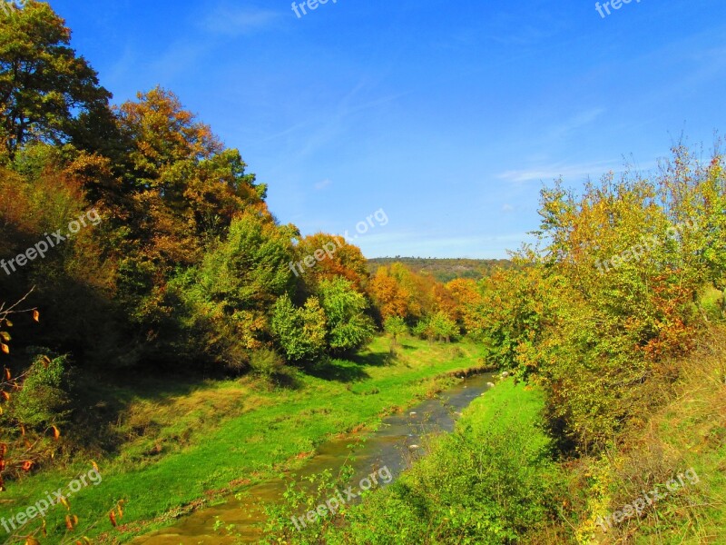 Summer Yellow Leaves Nature River Blue Sky