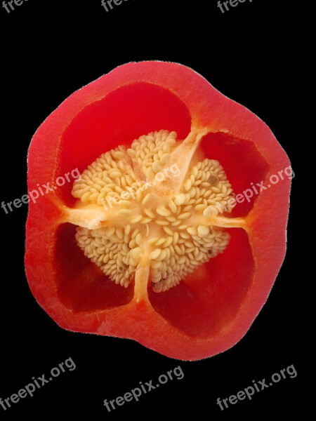 Paprika Red Seeds Cross Section Transparent