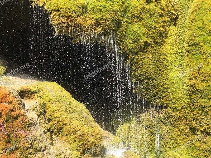 Moss Wet Drop Of Water Water Cave