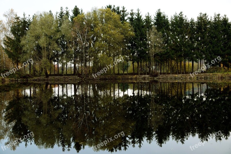 Lakeside Mirroring Trees Landscape Green