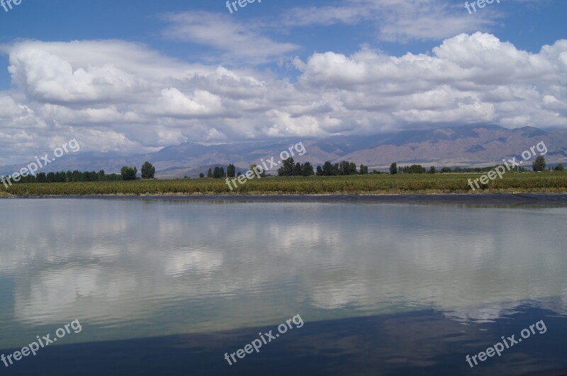 Vineyard Mendoza Wine Argentina Landscape