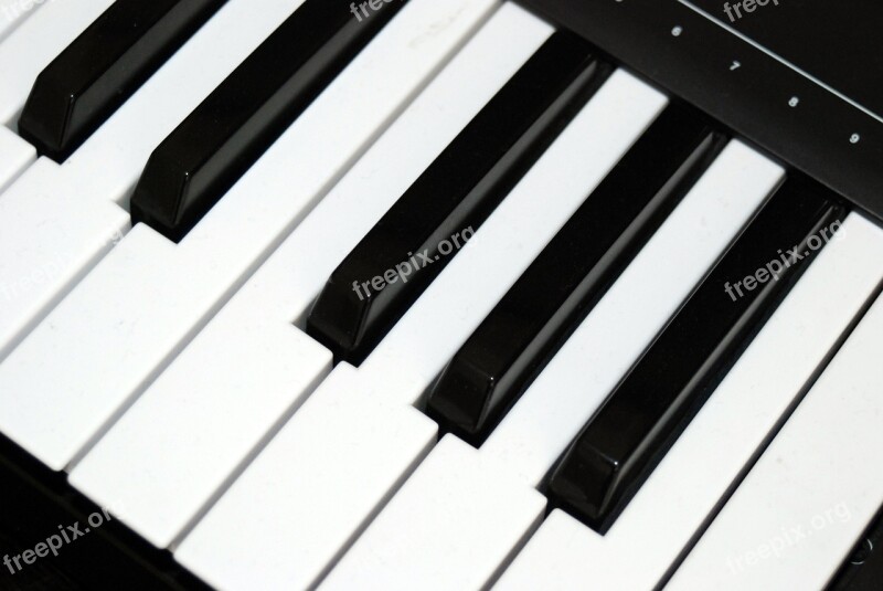 Piano Keyboard Keys Music Instrument Black White Key