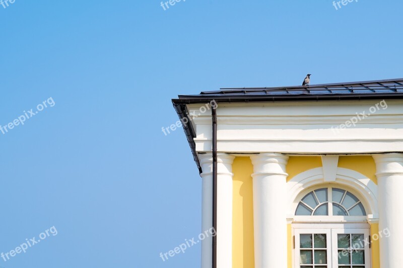 Crow Building Sky Yellow Roof