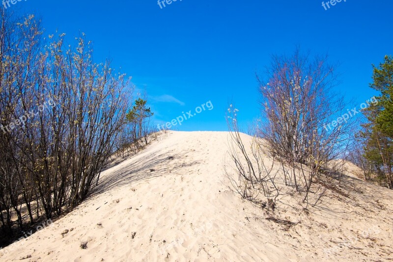 Sky Sand Dune Spring The Bushes