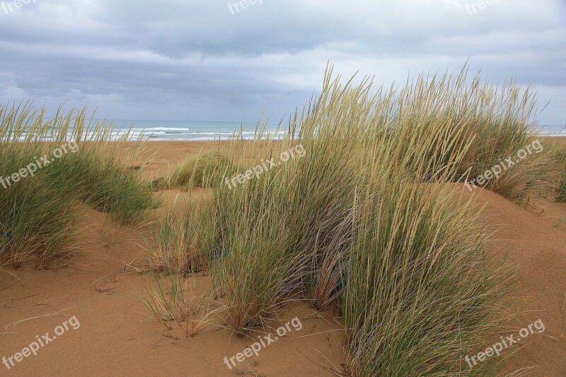 Morocco Sea The Sand Dunes Grass Clouds