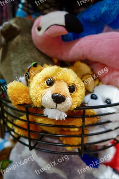 Toys Soft Cuddly Eyes Cute