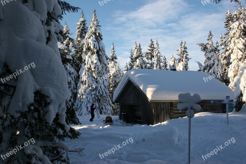 Landscape Scenic Winter Snow Cottage