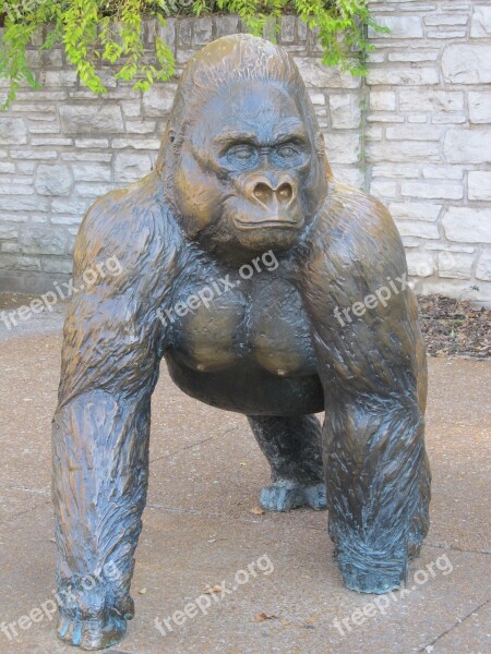 Gorilla Sculpture Statue Public Art Zoo