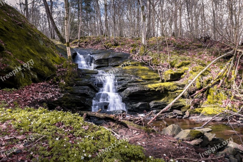 Water Forest Waterfall Gothenburg Lerum