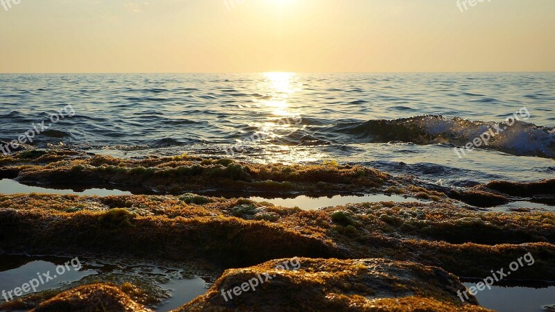 Sea Marine Sunset Landscape Sunset Horizon