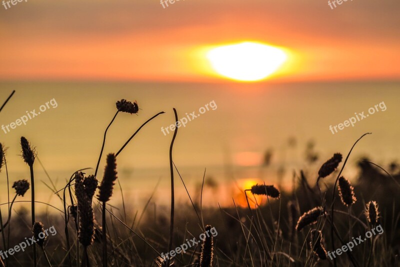 Cornwall Sunset Sea Coastal Free Photos