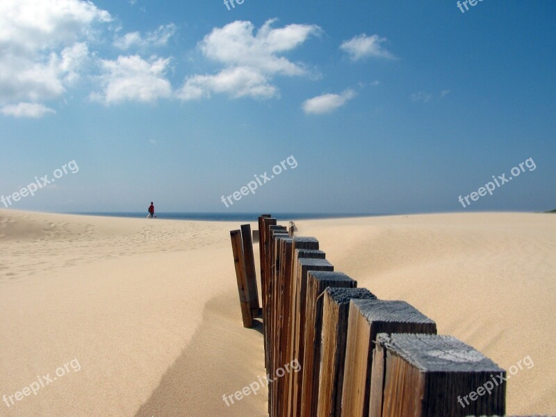 Rate Dunes Sand Cadiz Wood