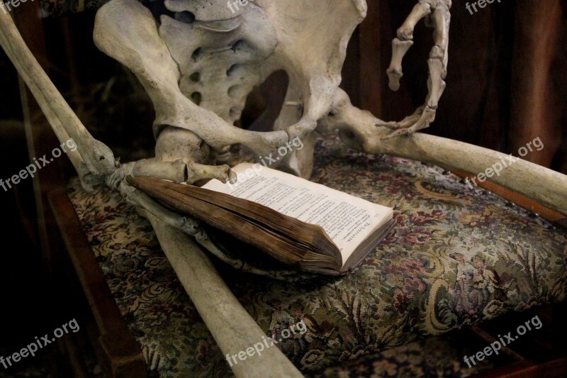 Book Reading Skeleton Bones Reading Book