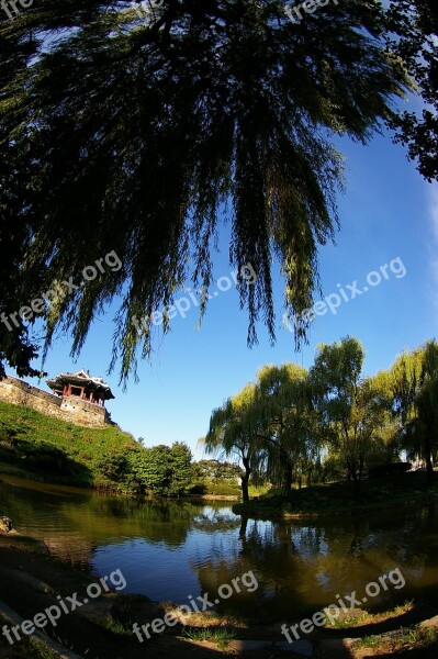 Suwon Cosmos Nature Independence Hall Free Photos