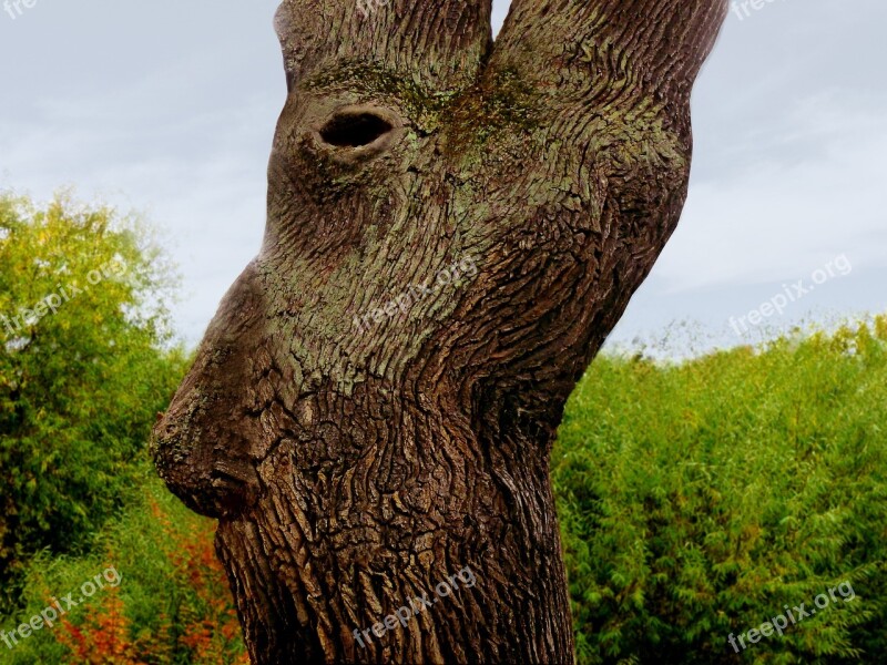 Tree Log Face Fantasy Tree Spirit