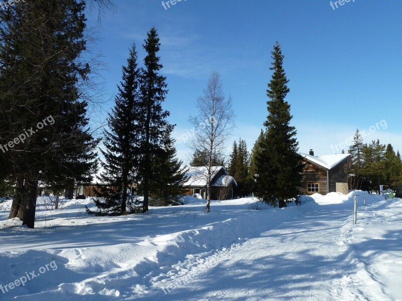 Ice Hotel Scandinavia Snow House Fir Trees